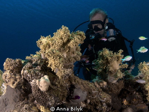 Diver by Anna Bilyk 
